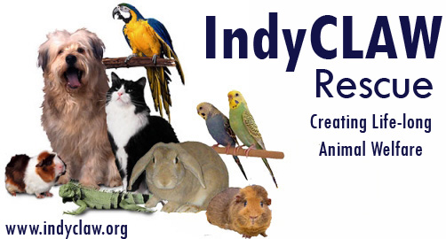 IndyCLAW Rescue - Creating Lifelong Animal Welfare